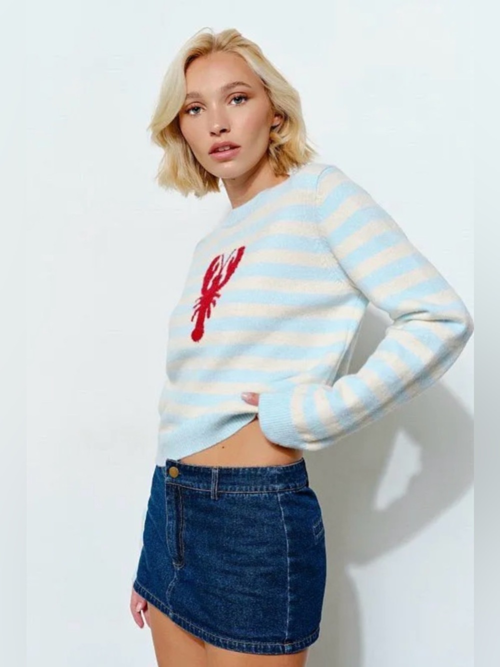 Lobster Graphic Striped Knit Sweater NWT | Pretty Garbage | S - Picture 4 of 4